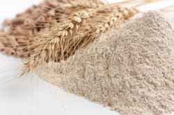 Povrat pšenice na zadovoljavajućem nivou