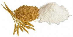 Započela distribucija brašna, stočnog brašna i lomljenog zrna pšenice krajnjim korisnicima